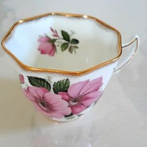 Vintage Rosina Bone China Made in England Rose Desing Tea Cup
